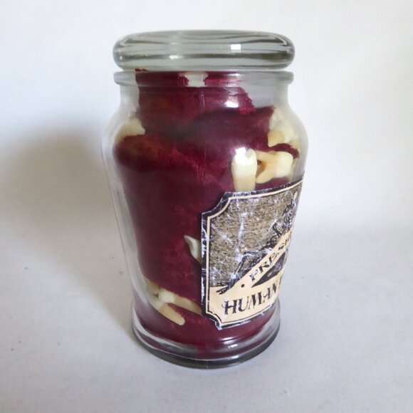 NEW 5.5” APOTHECARY EXTRACTED HUMAN CADAVER TEETH...